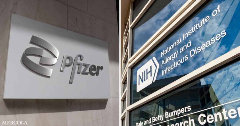 Pfizer’s Secret Collusion With the NIH