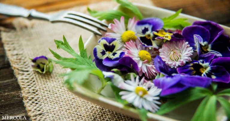 Flower Power: What Can Edible Flowers Do for Your Health?