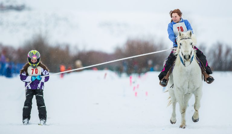 What Is Skijoring? A Beginner’s Guide