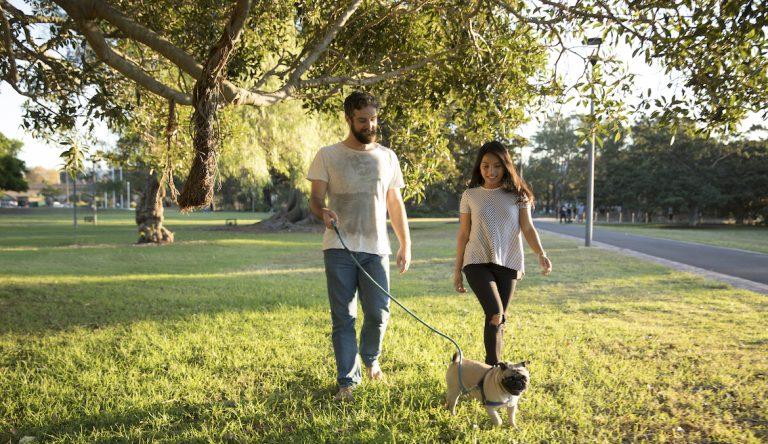 A Couple Walking Together Can Have Major Relationship Benefits