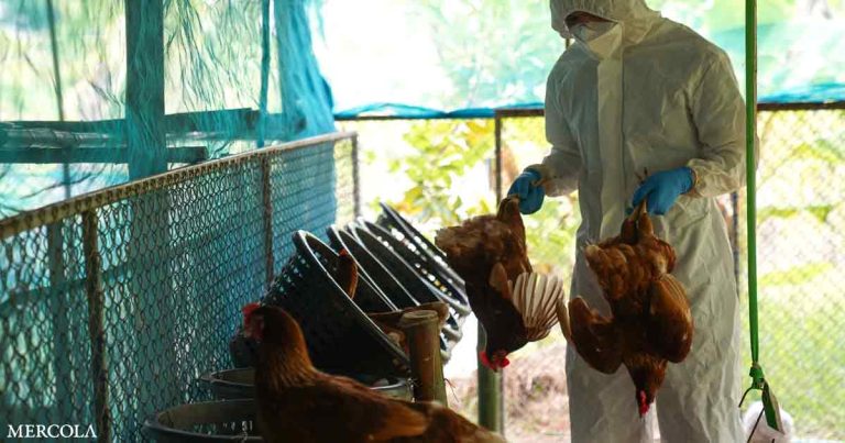 Bird Flu Scare Narrative Ramps Up