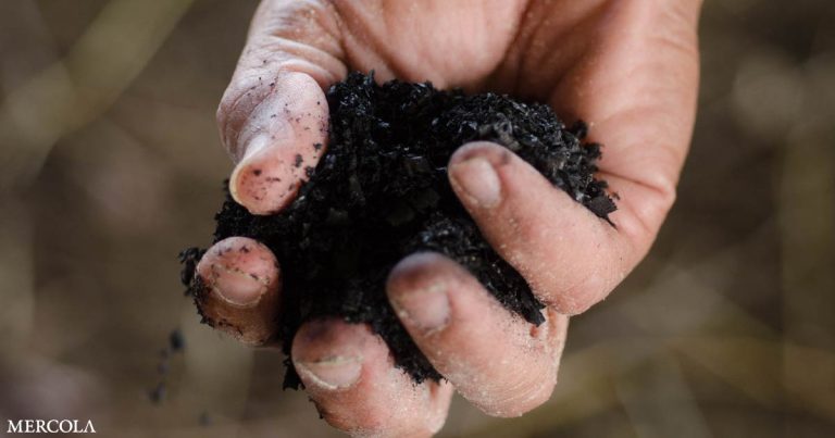 ‘Dirt Rich’ – Importance of Biochar and Regenerative Systems