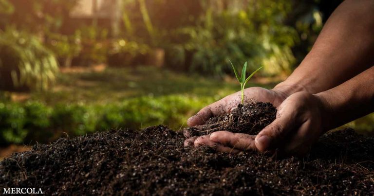 Regenerative Agriculture – The Next Big Thing