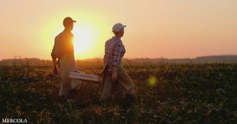 Biodynamic Farming and the Legacy of Rudolf Steiner