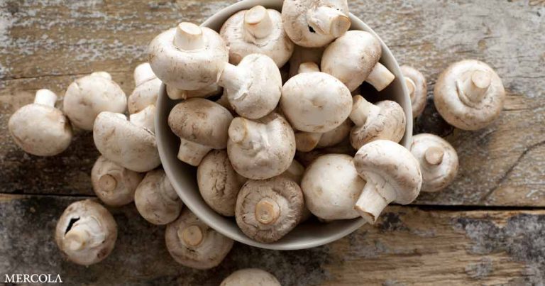 This Mushroom Compound Is a Longevity Powerhouse