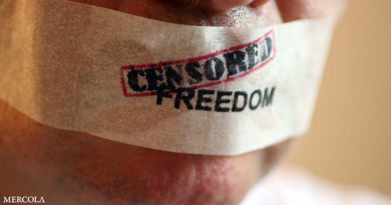 Information Compliance – Bill Passed to Demolish Free Speech