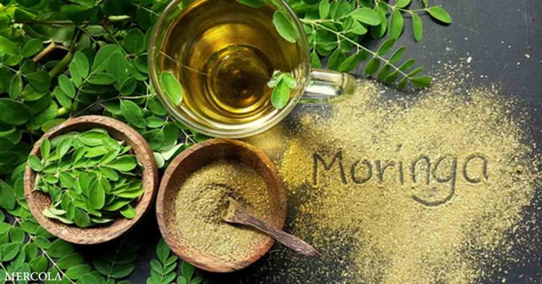 Benefits of Moringa Compared to Broccoli