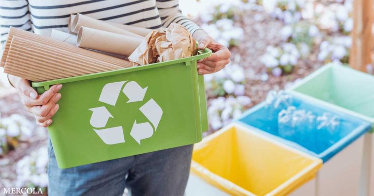 Top 11 Tips to Become an Expert at Recycling