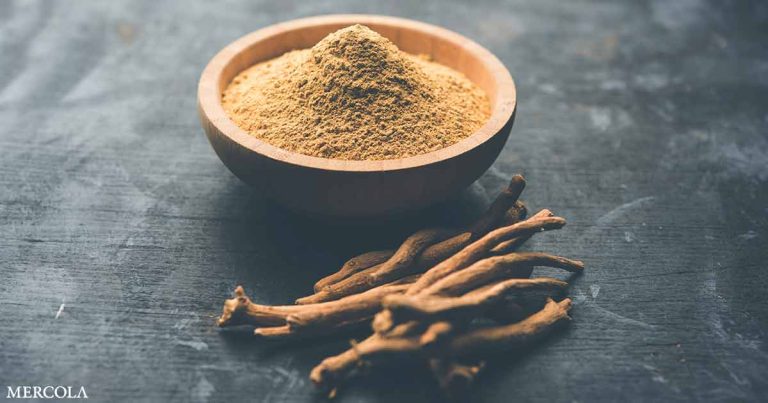 Ashwagandha for Cognitive Function