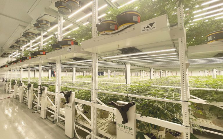 Maximizing Your Cultivation Facility With Smart Planning